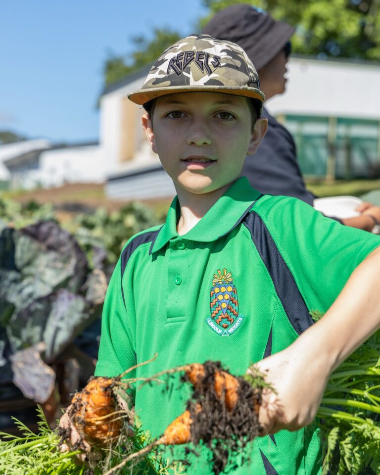 Licoln Heights Insights